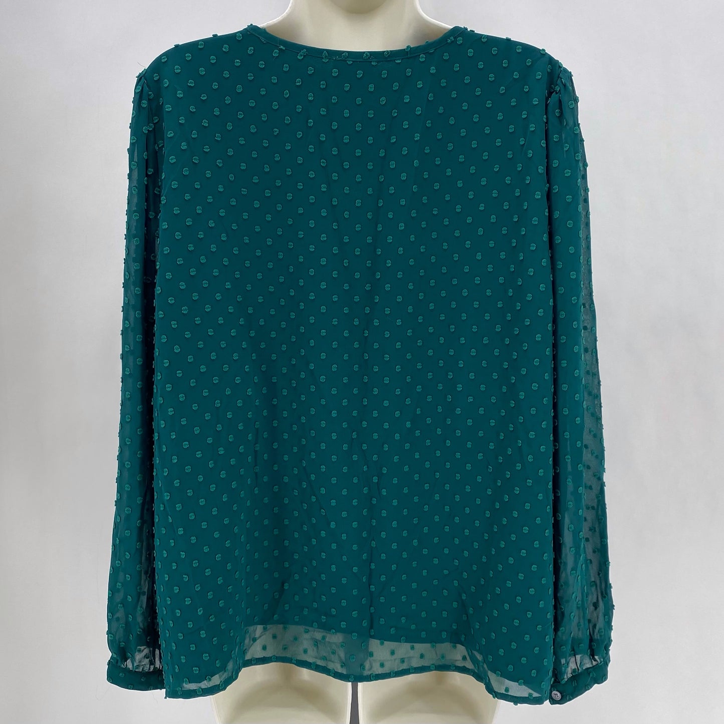 Size XL J CREW Shirt