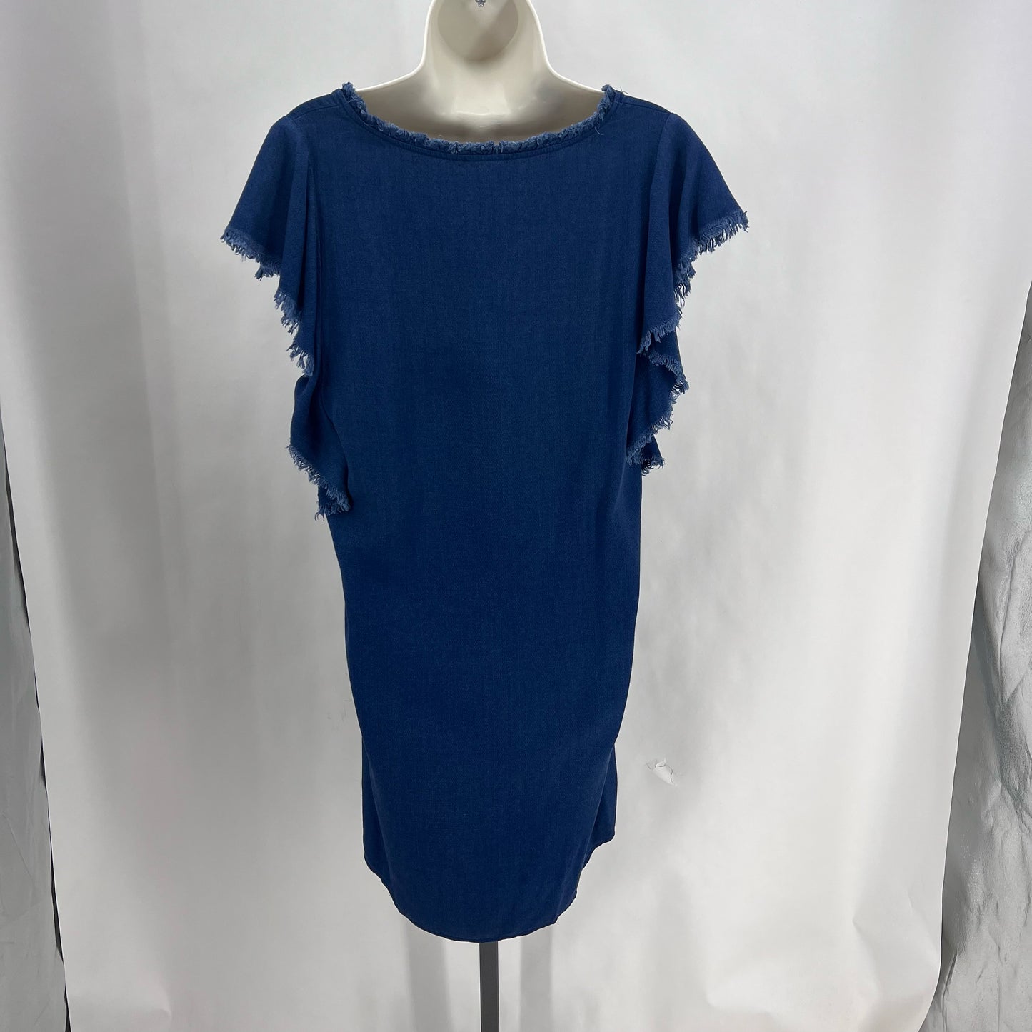 Size M SPLENDID Dress