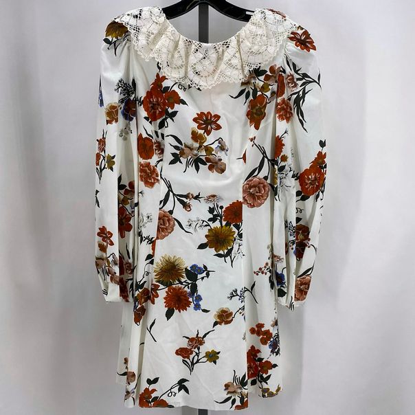 Size 6 BROCK COLLECTION FLOWERS Dress