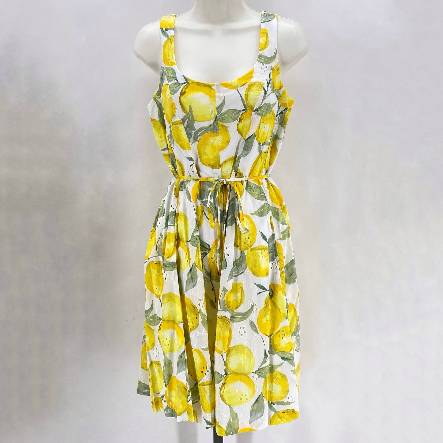 Size 6 CAPPAGALLO LEMONS Dress