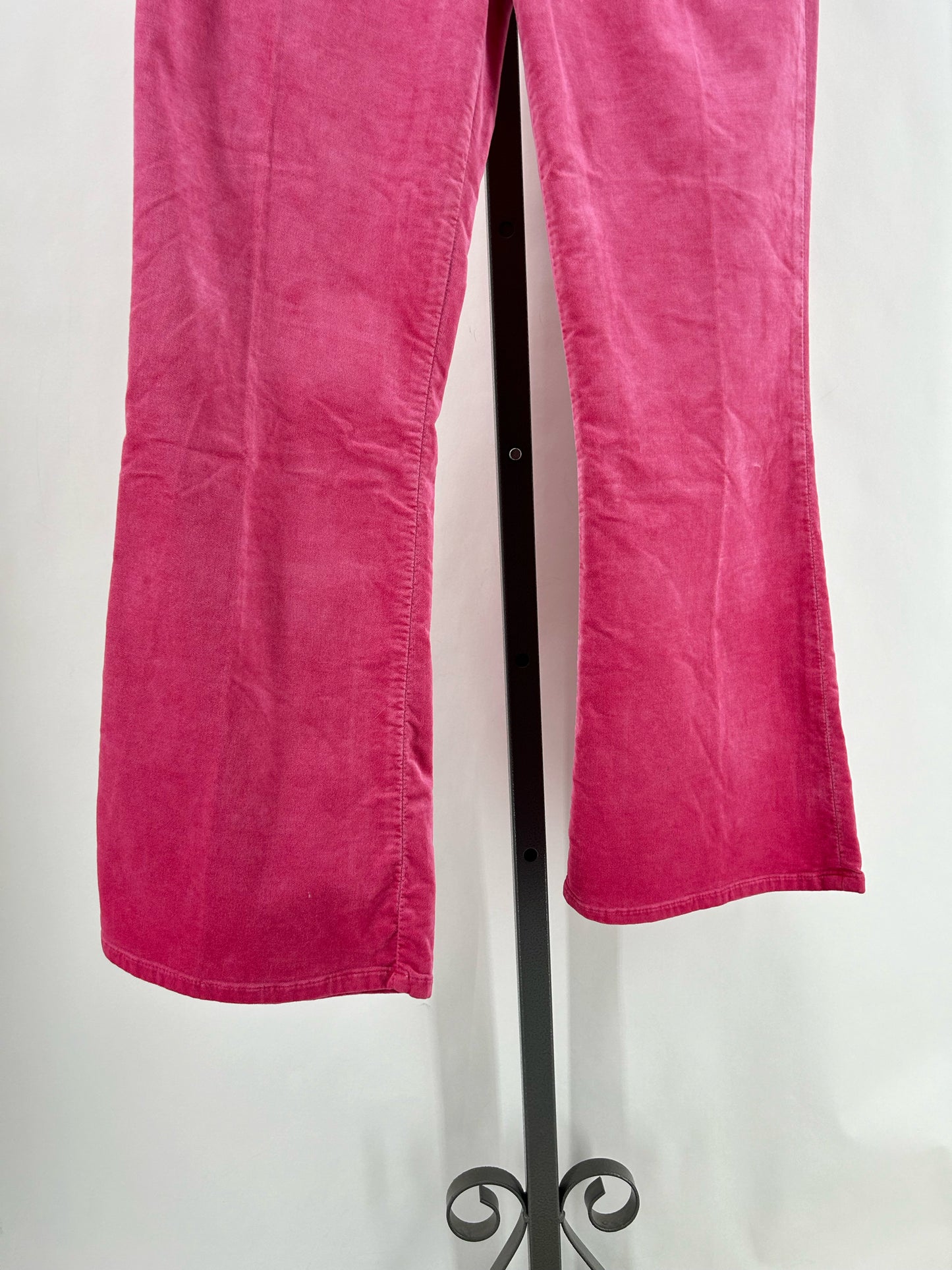 Size 27 J BRAND Pants