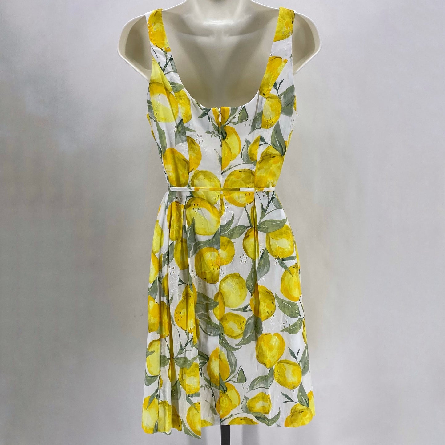 Size 6 CAPPAGALLO LEMONS Dress