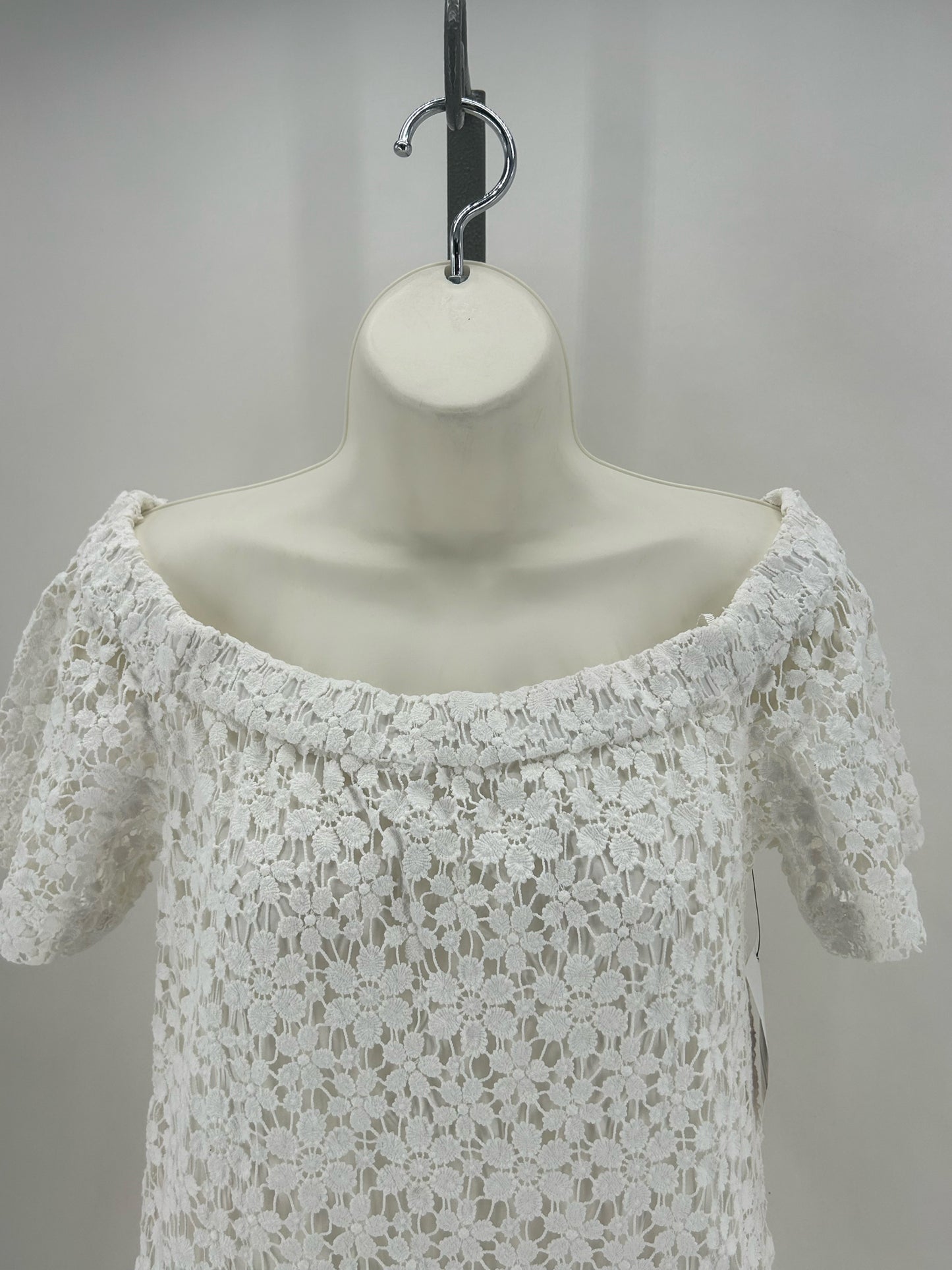 Size 6 A.L.C. HEAVY LACE Dress