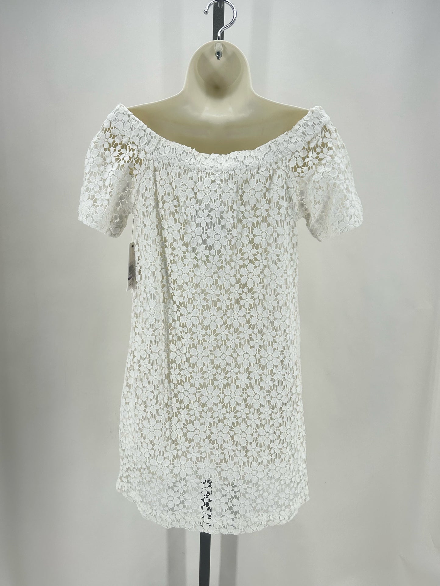 Size 6 A.L.C. HEAVY LACE Dress
