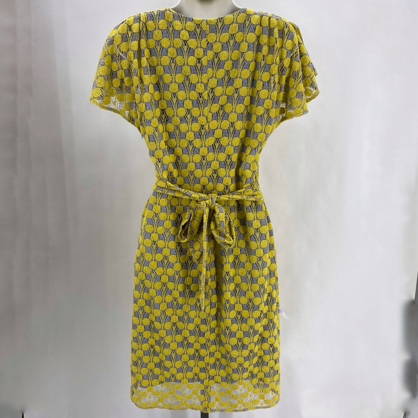 Size 6 Eva Franco HEAVY LACE Dress