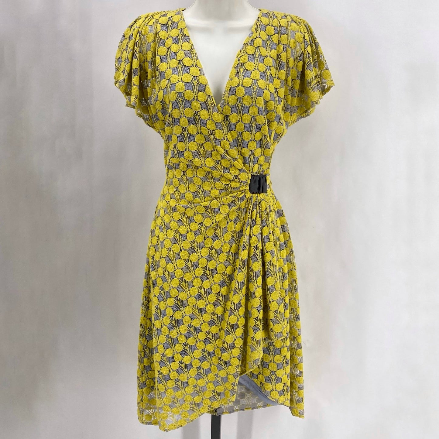 Size 6 Eva Franco HEAVY LACE Dress