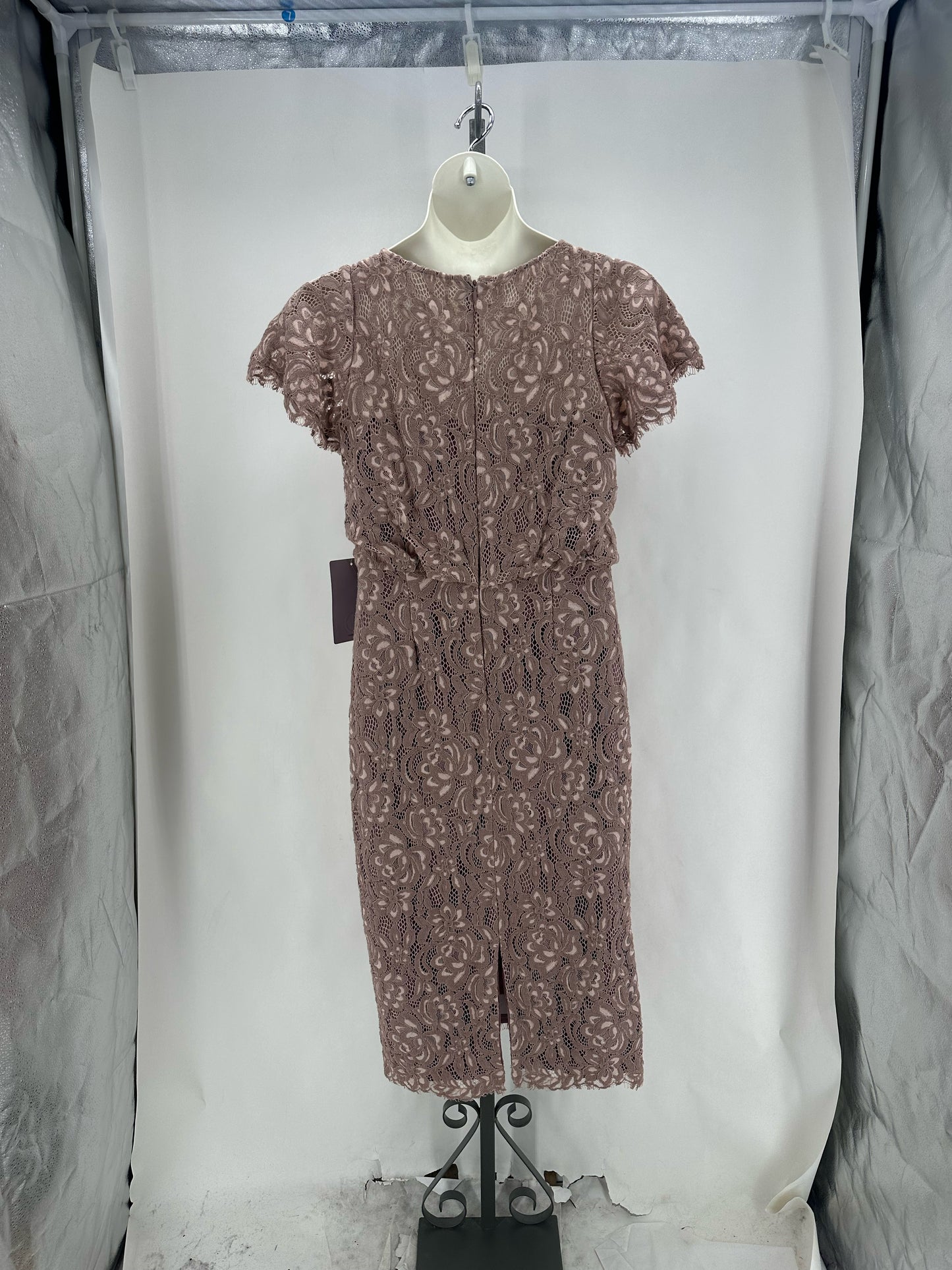 Size 10 JS COLLECTION Lace Dress