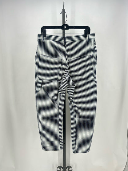 Size 27/4 Nili Lotan Stripe Pants
