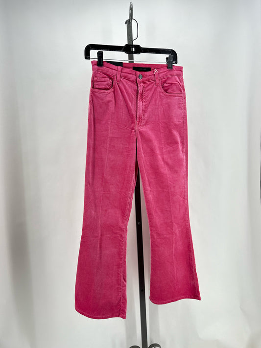Size 27 J BRAND Pants