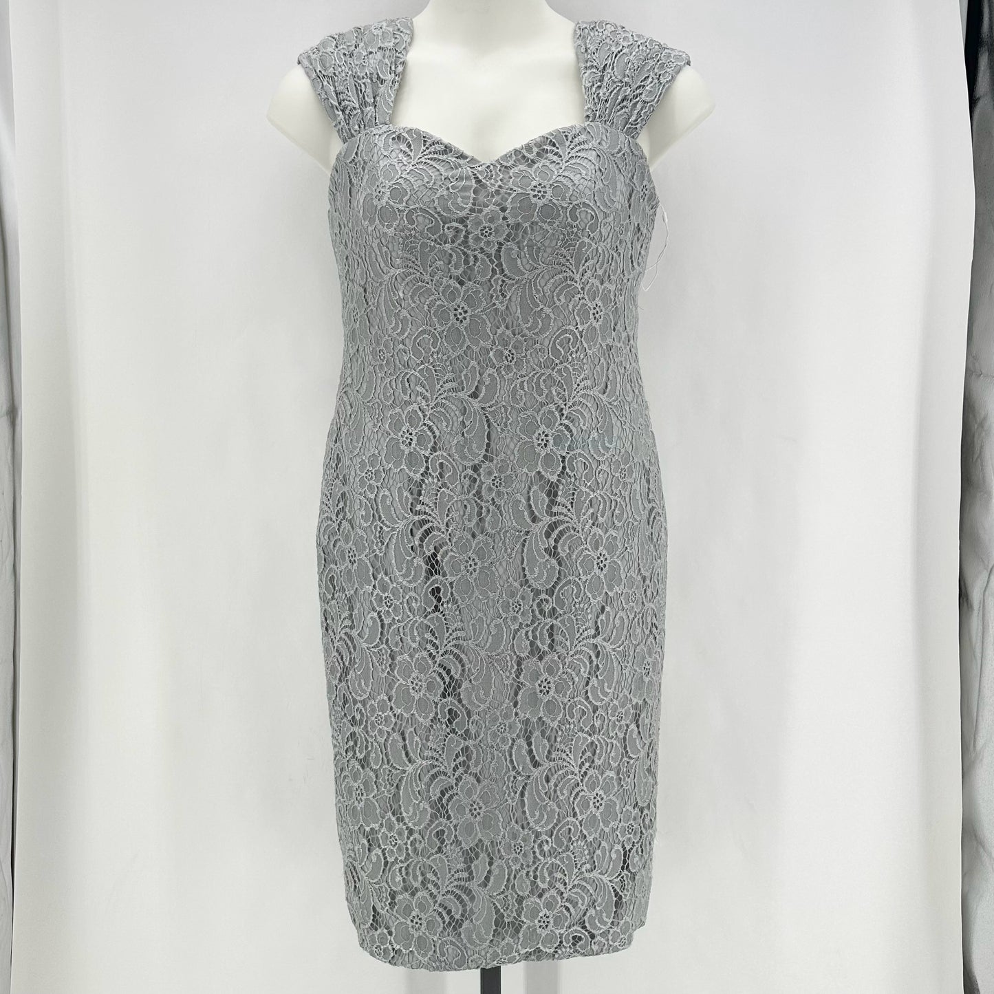 Size 14 LANTING Lace Mother of Bride Dress