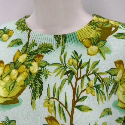 Size P TALBOTS LEMONS Sweater