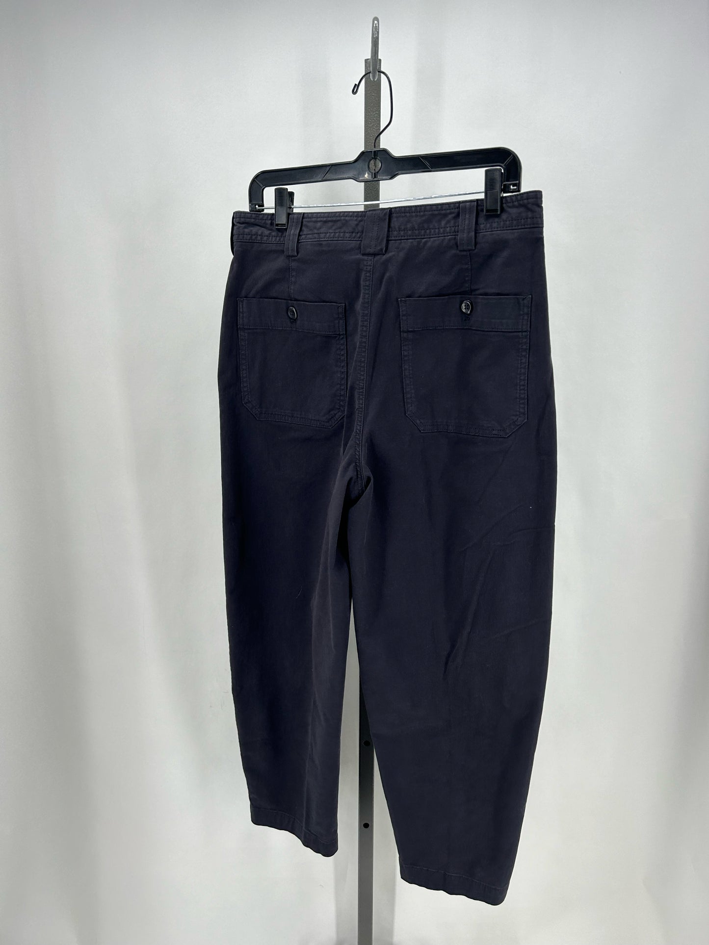 Size 6 BANANA REPUBLIC Pants