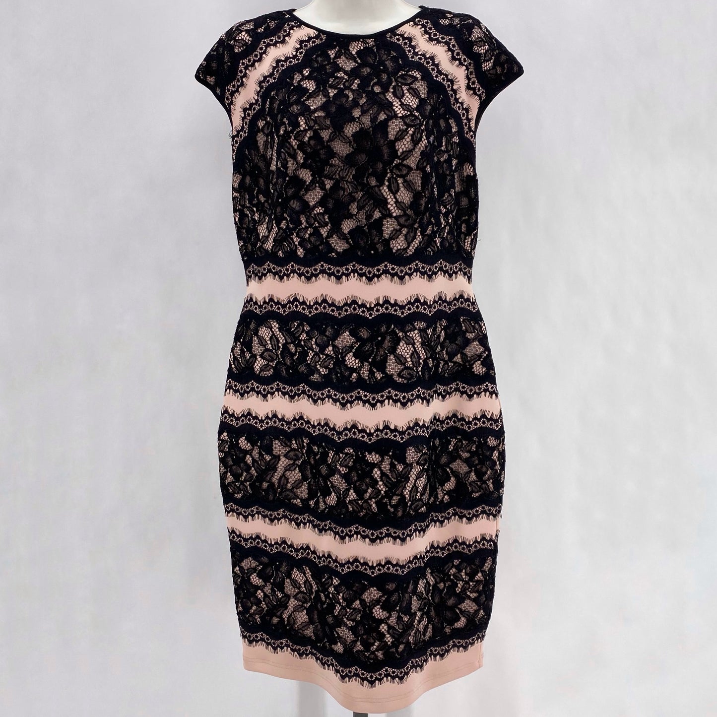Size 10 TADASHI SHOJI Dress