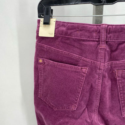 Size 28 PILCRO Pants