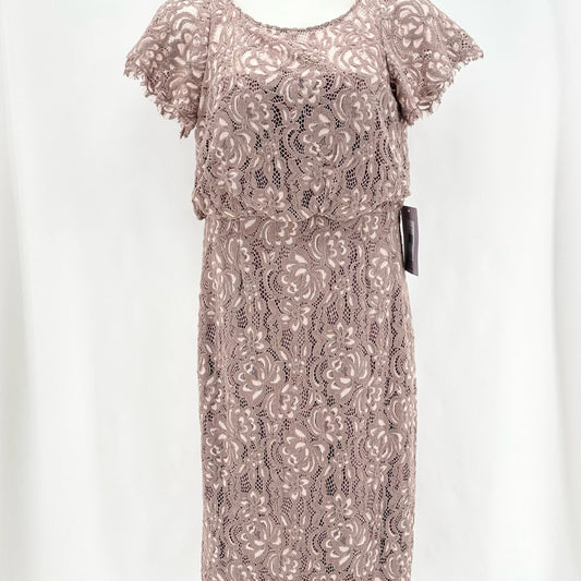 Size 10 JS COLLECTION Lace Dress