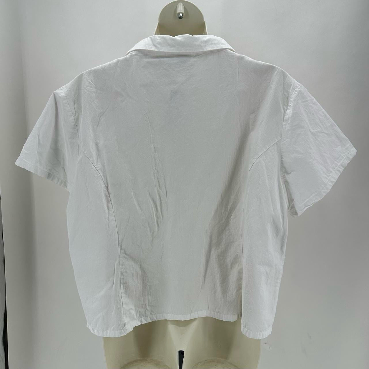 Size 5X DAISY STREET Shirt