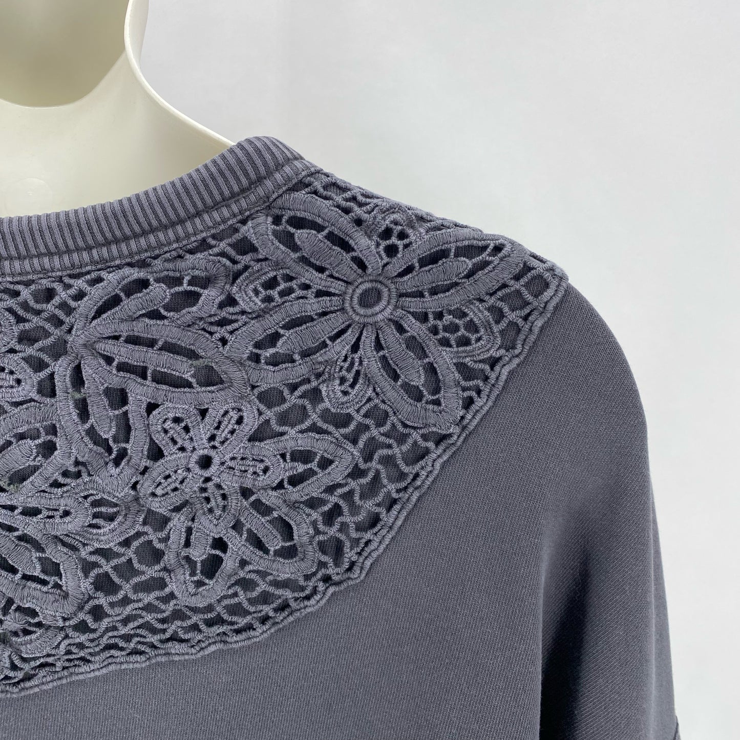 Size XXL AERIE Sweatshirt