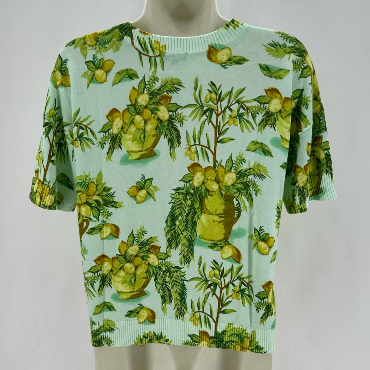 Size P TALBOTS LEMONS Sweater