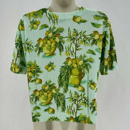 Size P TALBOTS LEMONS Sweater