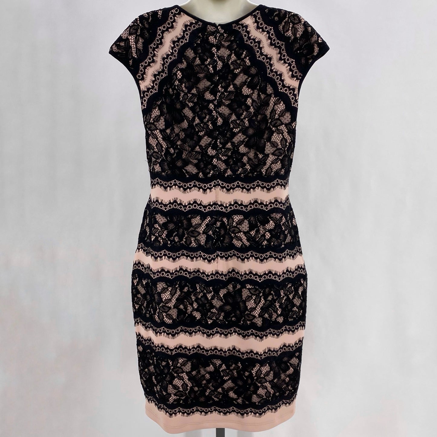Size 10 TADASHI SHOJI Dress