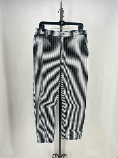 Size 27/4 Nili Lotan Stripe Pants