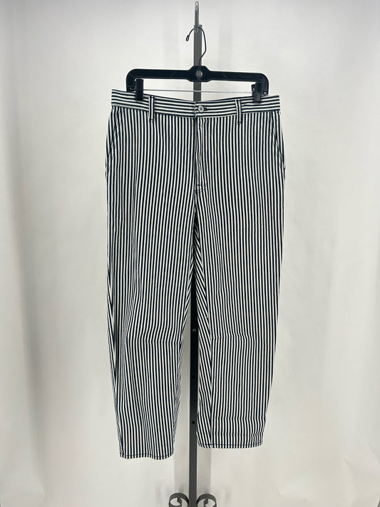 Size 27/4 Nili Lotan Stripe Pants