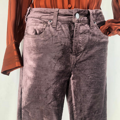 Size 25 (0) FREE PEOPLE CRUSHED VELVET Pants