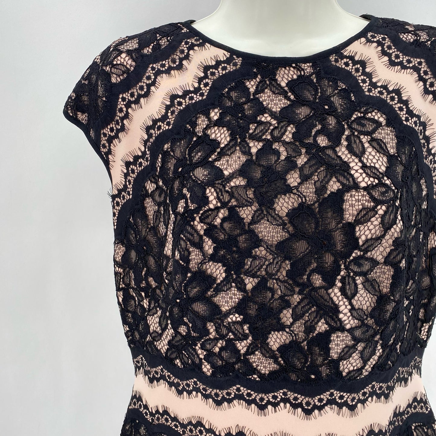 Size 10 TADASHI SHOJI Dress
