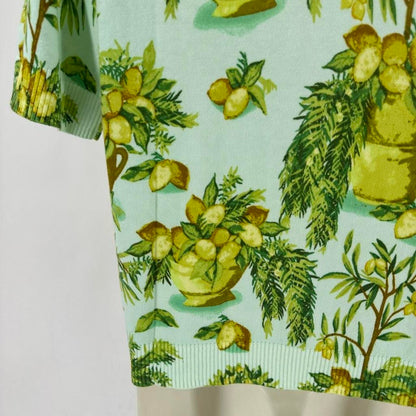 Size P TALBOTS LEMONS Sweater