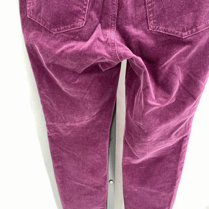 Size 28 PILCRO Pants