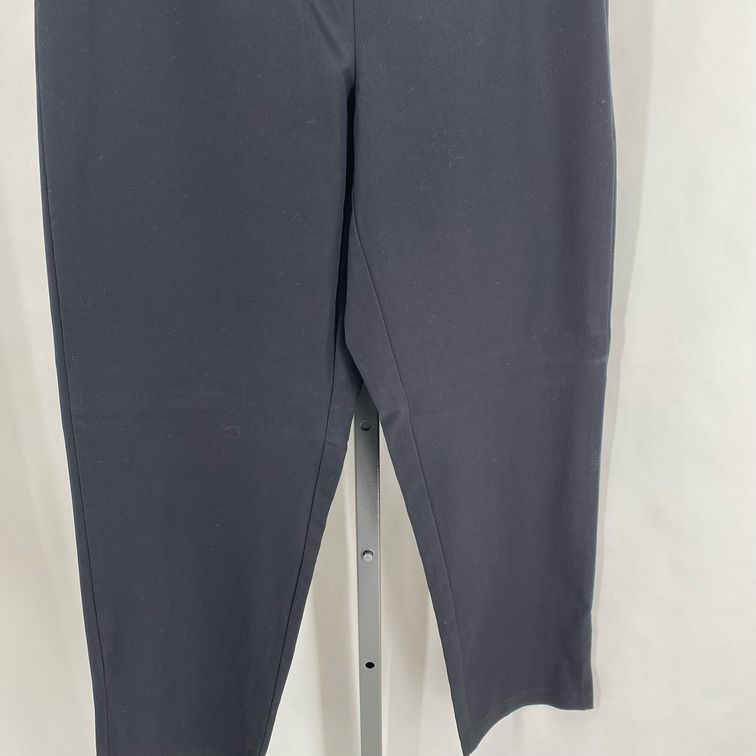 Size S EILEEN FISHER Pants