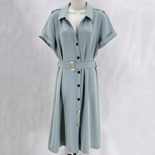 Size L ZARA Dress